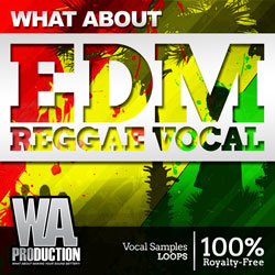 What About: EDM Reggae Vocals-0