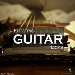 Electric Guitar Licks Vol 1-0