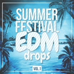 Summer Festival EDM Drops-0