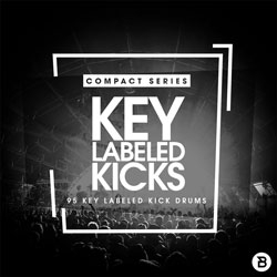 Compact Series Key Labeled Kicks-0