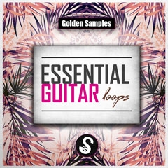 Essential Guitar Loops Vol 1-0