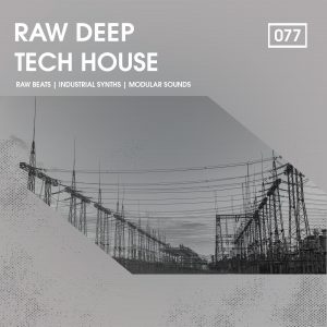 Raw Deep Tech House-0