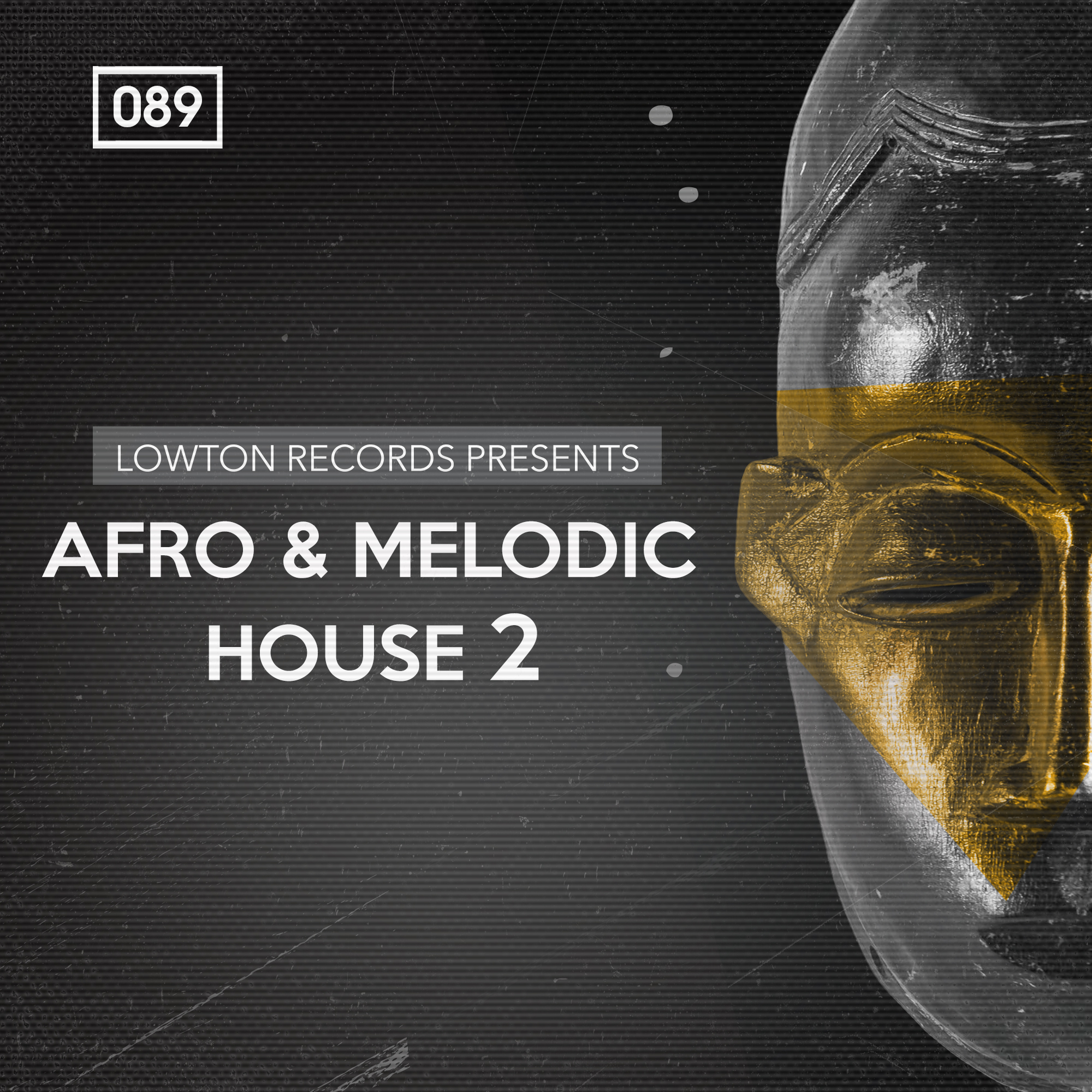 Afro & Melodic House 2-0